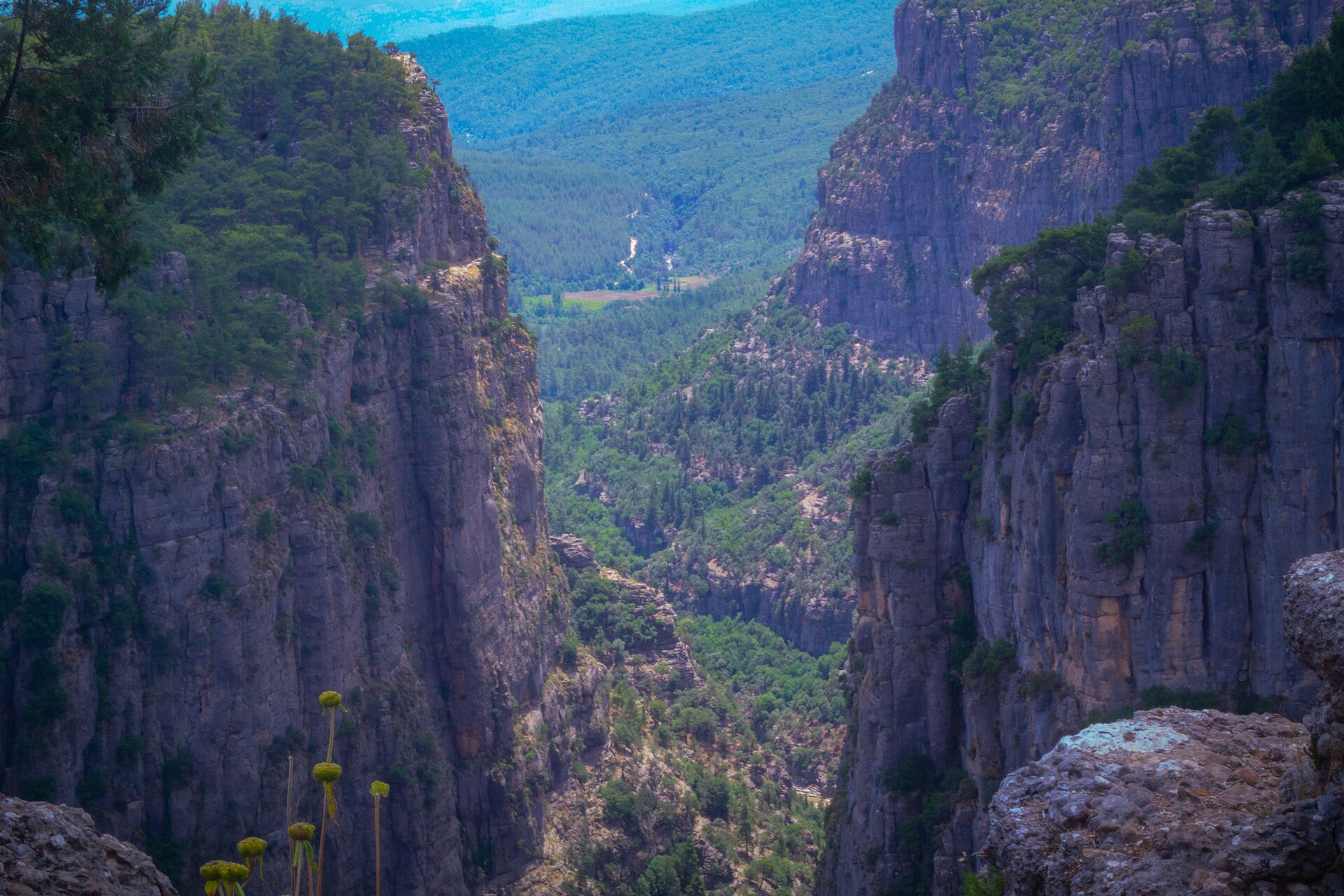 Tazı Canyon Nature Trip